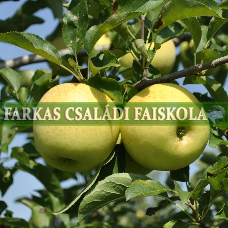 Almák – Farkas Faiskola